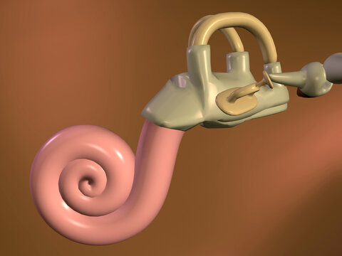 Close-up of the inner part of a human ear