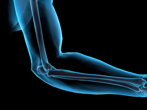 Close-up of the human elbow joint