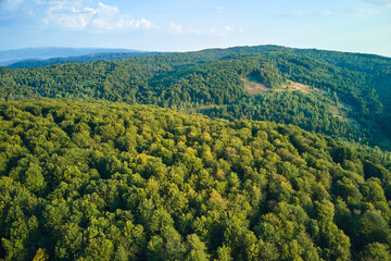 Fototapeta premium Aerial view of mountain hills covered with dense green lush woods on bright summer day