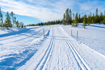 Winter landscape in snow covered Bymarka nature reserve in Trondheim, Norway