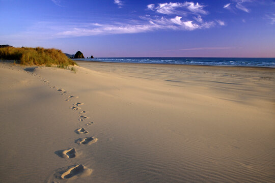 Footprints on the sand at the beach, Cannon Beach, Oregon, USA