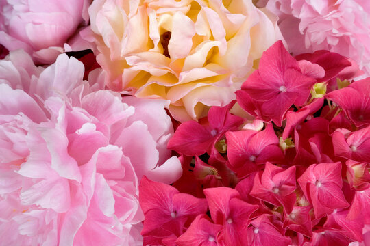 Close-up of roses with peonies and hydrangeas