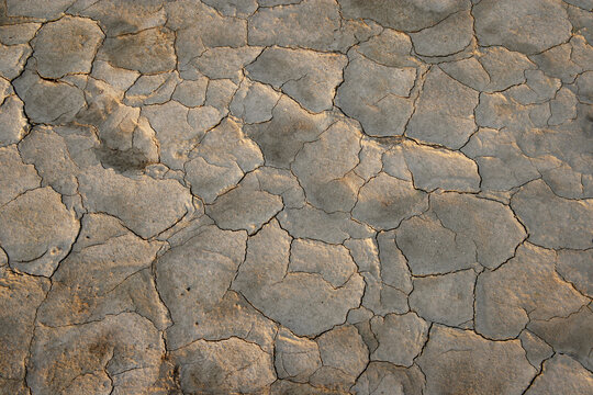 Close-up of a dry field