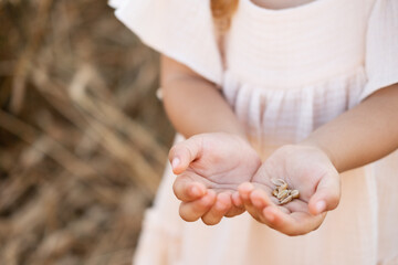 close up palm of little girl hand with wheat grains