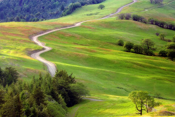 High angle view of a road running through a landscape, Bald Hills, Redwood National Park, California, USA