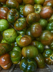 green and red tomatoes displayed in supermarket