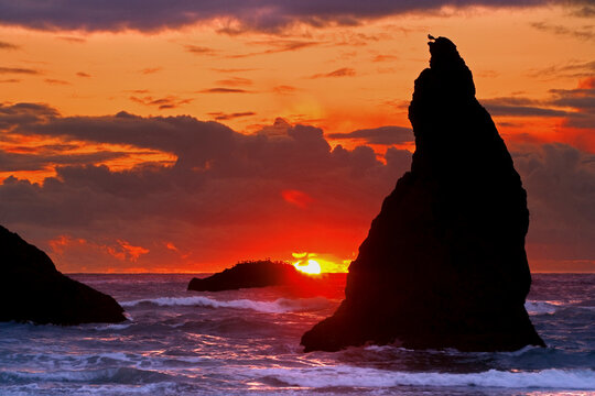 Silhouette of sea stacks in the sea, Bandon, Oregon, USA
