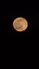 full moon in the night sky