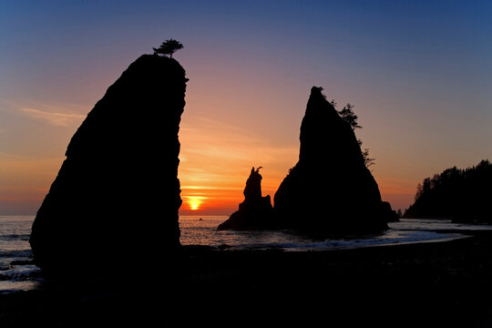 Silhouette of sea stacks in the sea, Rialto Beach, Olympic National Park, Washington, USA