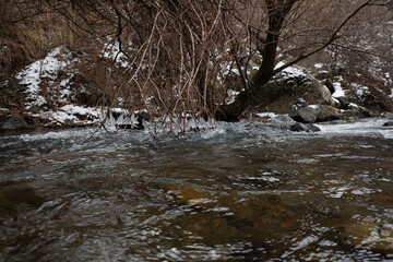icy branches over a mountain river