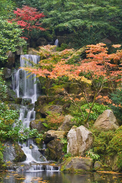 Waterfall in a garden, Portland Japanese Garden, Portland, Oregon, USA