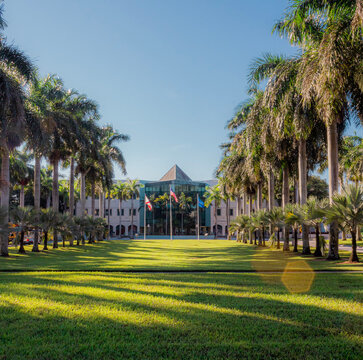 Palm Trees And Flags In Front Of Building