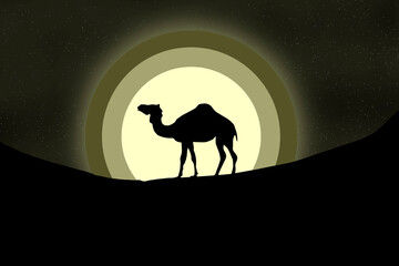 silhouette of a camel in the desert