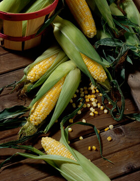 High angle view of corn on the cob
