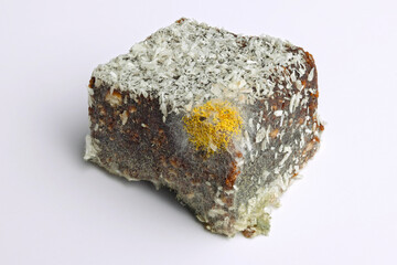 Yellow and green mold with spores on spoiled, rotten cake. Close up color macro photo with isolated food on white background.