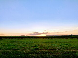 Fototapeta premium Landescape, nature, animals, beach, lake