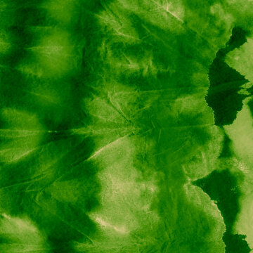 Forest Green Artistic Dirty Painting. Grassy