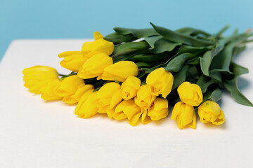 Colorful yellow tulip flowers on a blue background. With space to copy. Women's holiday. Mothers' Day