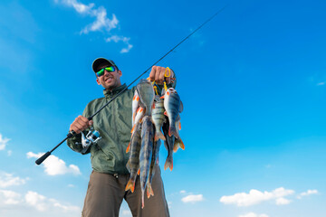 Success perch fishing. Fisherman with many perches and spinning tackle on blue sky background