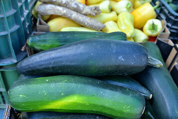 Organic Zucchini for sale at farmers market. Background