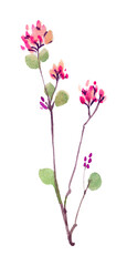 autumn pink flower handmade watercolour, floral watercolor design element. red and green botany.