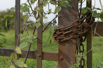 fragment of an iron gate closed with an iron wire instead of a lock