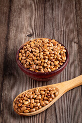 Raw pinto beans on the table.