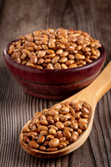 Raw pinto beans on the table.