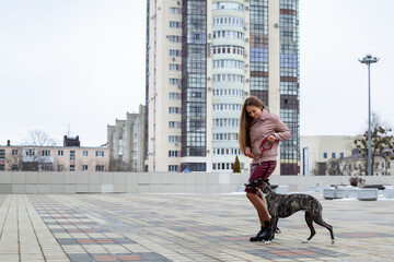 a beautiful brown-haired girl stands and holds a whippet dog on a leash in the city