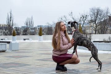 a pretty fair-haired girl in a pink leather jacket and a burgundy skirt trains a whippet dog 