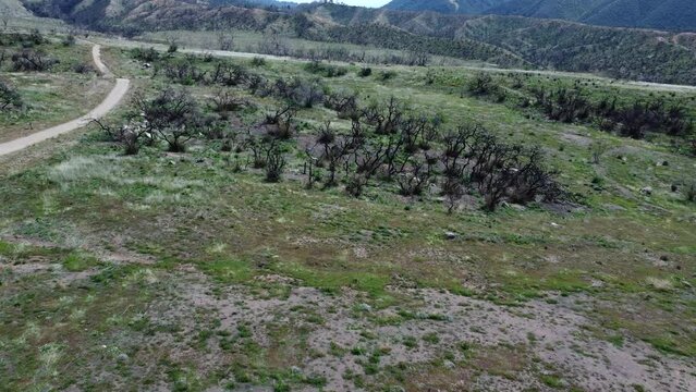 An Aerial UAV Environmental Post Fire Survey Of The Regrowth Of Plants 18 Months After The El Dorado Gender Fire In Yucaipa, California