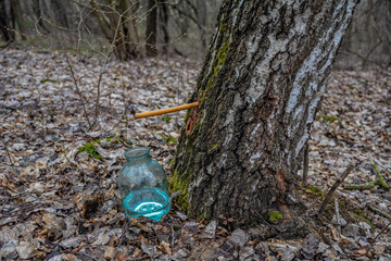 Obraz premium Collection of birch juice with a glass bottle .