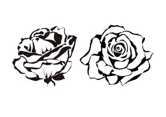 róże  ilustracja