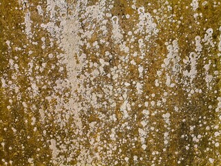 COLOR TEXTURE FOR THE BACKGROUND