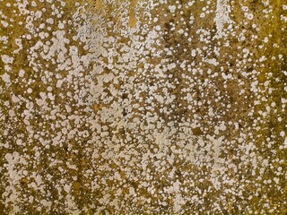 COLOR TEXTURE FOR THE BACKGROUND