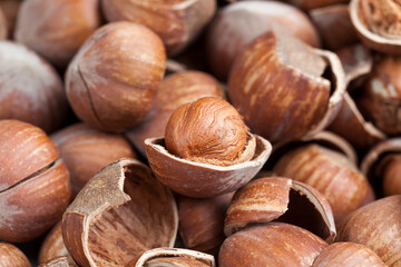 hazelnuts peeled from the shell