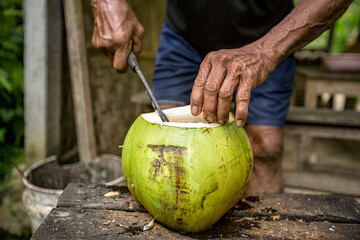 making coconut nectar - obrazy, fototapety, plakaty