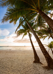 Tropical beach and bay