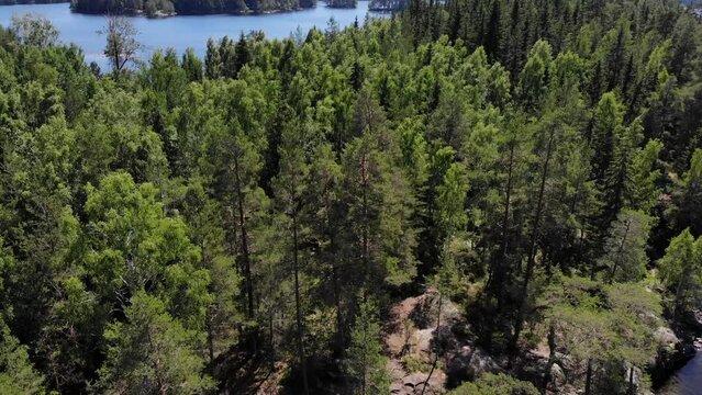 Luftaufnahme &uuml;ber blauen See mit Inseln und Steinfelsen mit Wald aus B&auml;umen bei Sonne im Sommer per Drohne