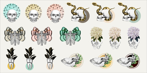 Human and animal skull and bones collage illustrations