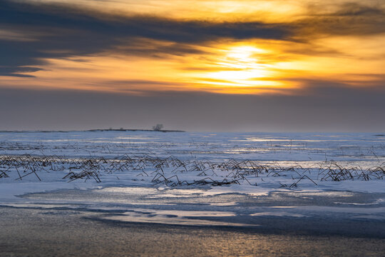 Morning sunrise over a winter Canadian lake with grasses frozen in ice at Newell County Alberta.