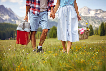 Young couple with picnic baskets holding hands and walking on green meadow. Picnic time, couple in...