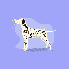 dalmatians on a blue background