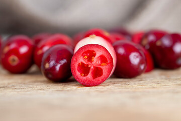 cut into half ripe red berries of garden cranberries