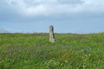 L'oiseau sur le menhir