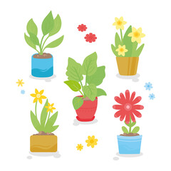 Flower pots vector hand drawn cute cartoon illustrations set