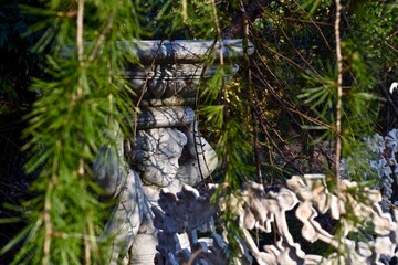 Victorian Landscaping under Douglas Fur Tree