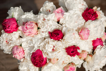 Beautiful bouquet of white and pink peonies on a sunny day. Floral background