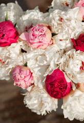Beautiful bouquet of white and pink peonies on a sunny day. Floral background