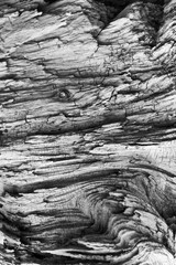 A Place in Space: High ISO, macro, monochrome image of petrified wood.  -illusion of a "far away" place